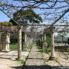 salona_garden