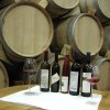 vinarija5